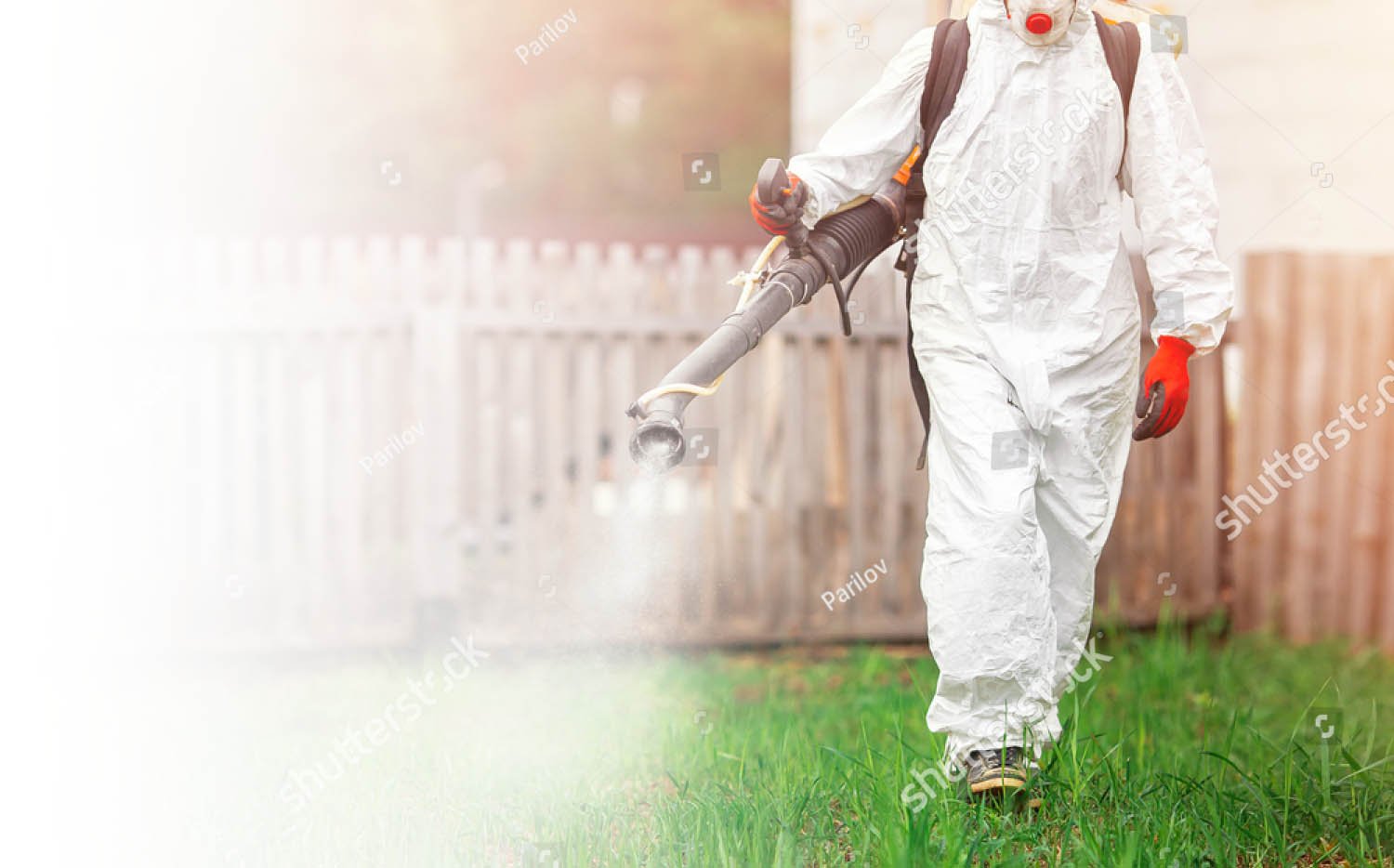 Maryland Pest Control Services - Bug Squashers