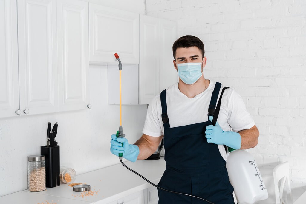 Understanding the Pest Control Inspection Process with Bug Squashers Pest Control in Maryland