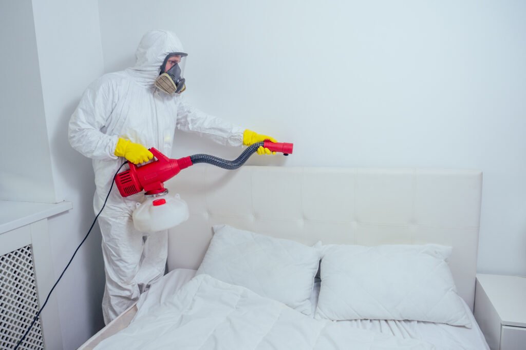 Bed Bug Control in Maryland: Your Ultimate Solution with Bug Squashers